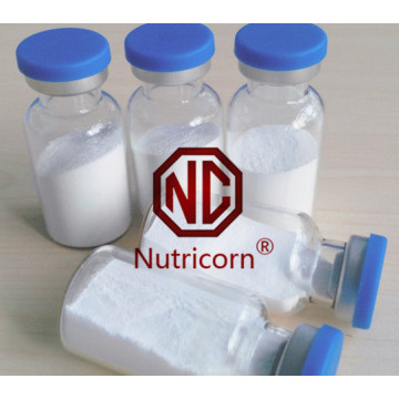 Piel de ácido hialurónico Hialuronato de sodio Ha Nutricorn